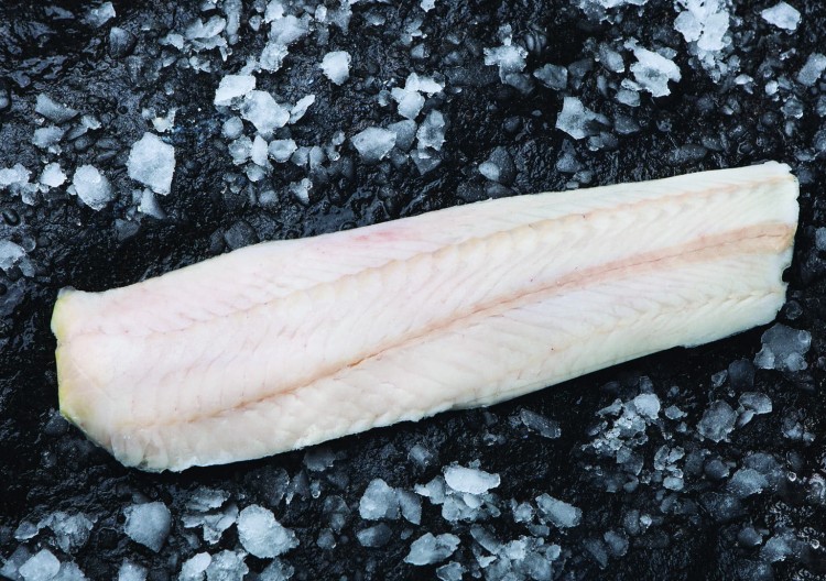 Miruna_nowozelandzka bez skóry.jpg