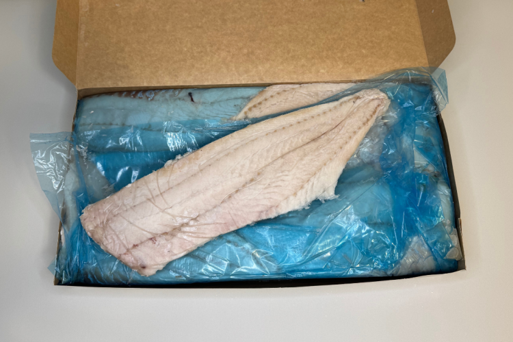 DORSZ NOR DUŻY 3.png