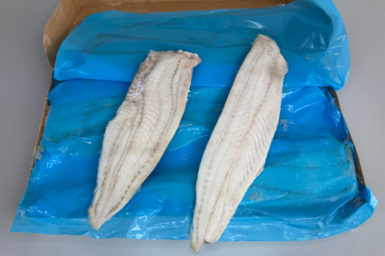 Dorsz średni gadus n6.png