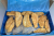 PANIEROWANY KAPSKI 2.png