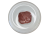 Biodrowka_jagnieca_1.png