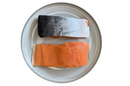 Łosoś_coho_1.png