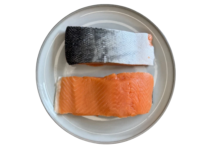 Łosoś_coho_1.png