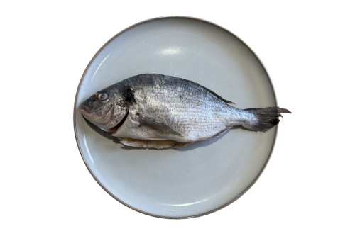 Dorada.png