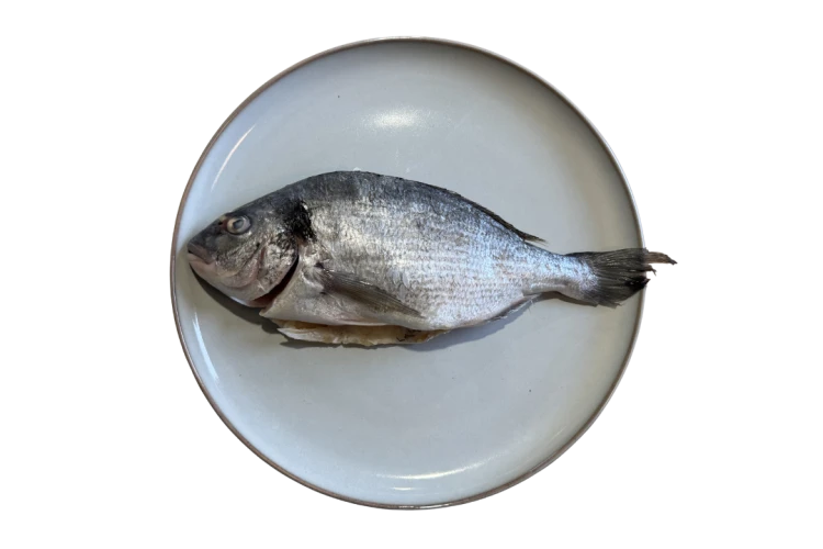 Dorada.png